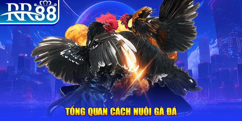 k8vina game nổ hũ rút tiền mặt là gì