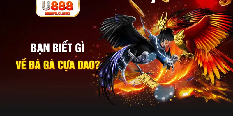 k8vina SW Xổ Số