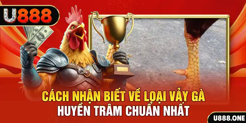 k8vina đăng nhập nổ hũ số 1