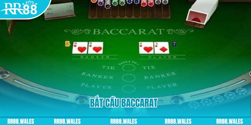 k8vina what are the best online casino games
