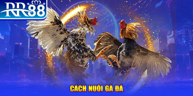 k8vina đăng nhập phỏm đổi thưởng