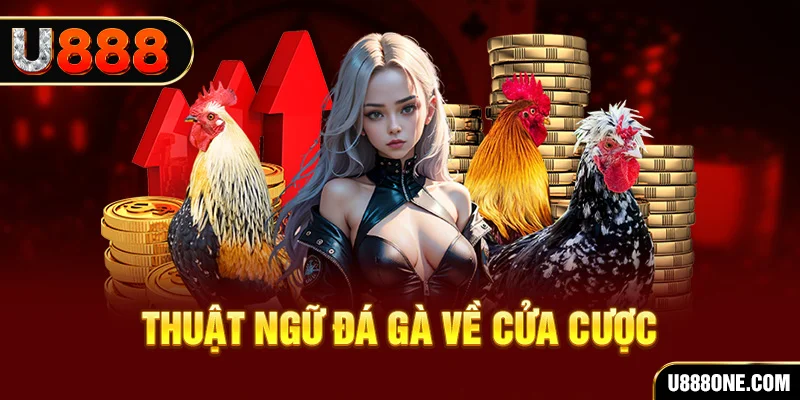 k8vina hơn cả bạn bè