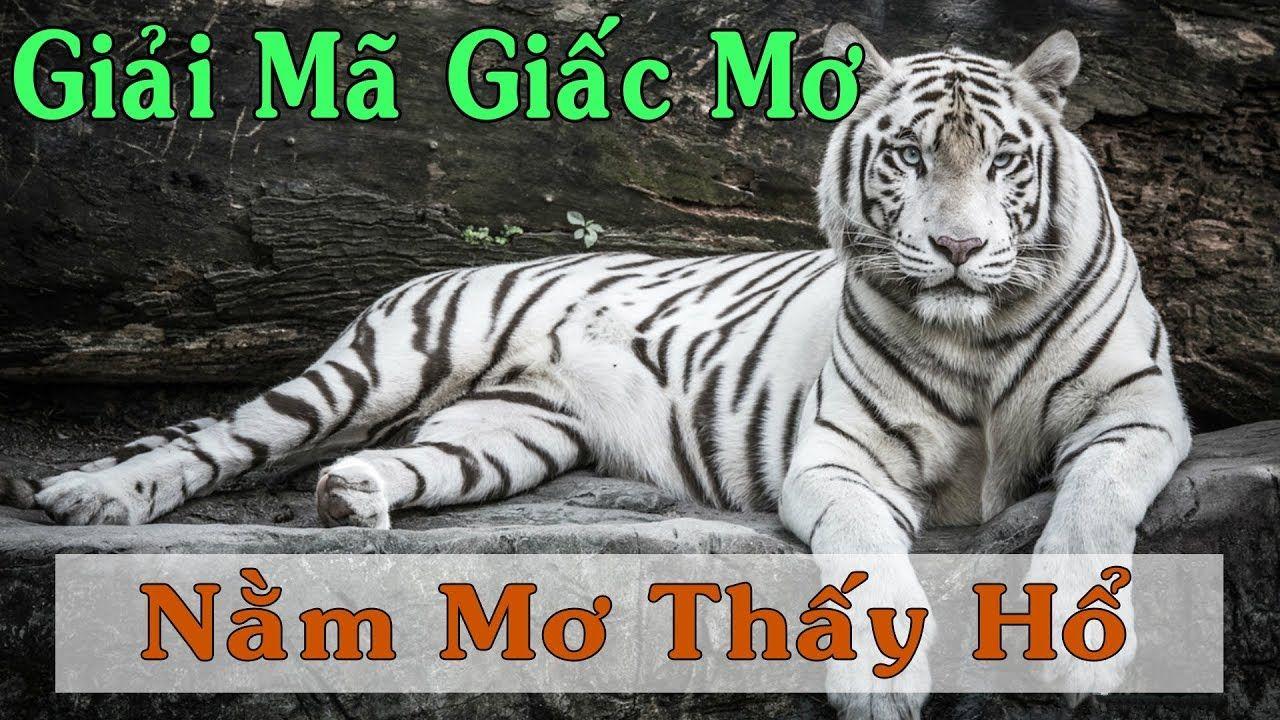 k8vina nổ hũ là game gì