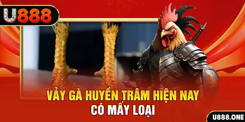 k8vina xổ số bình định