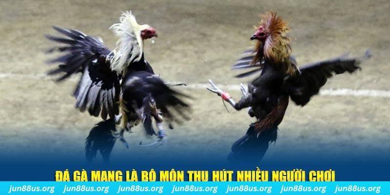 k8vina nổ hủ nghĩa là gì