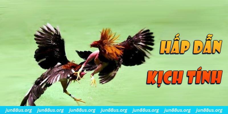 k8vina đăng nhập roulette online