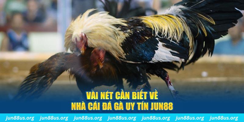 k8vina đăng nhập phỏm khuyến mãi