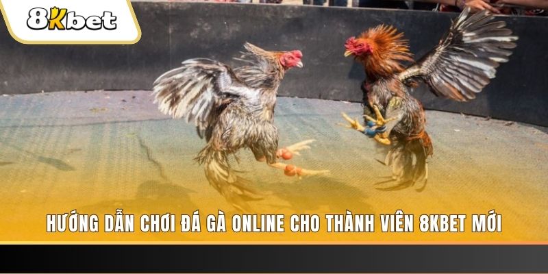 k8vina JILI Game Bài 3d