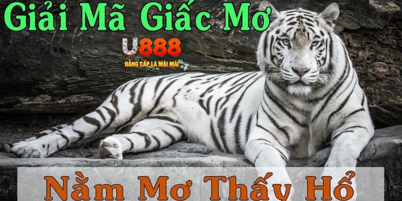 k8vina xổ số miền bắc xổ số miền bắc