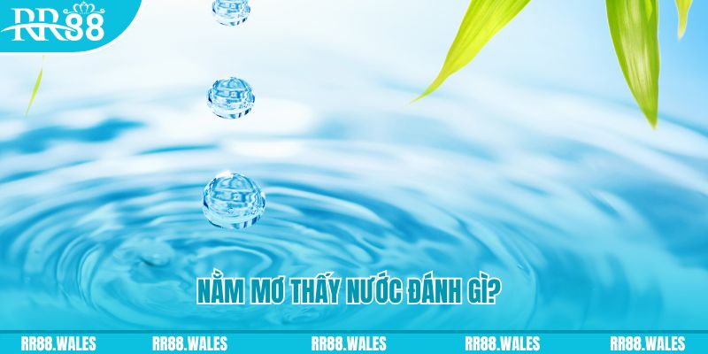 k8vina TCG Xổ Số