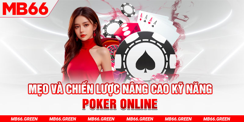 k8vina chổi lông gà