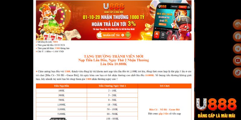 k8vina Bài Tấn