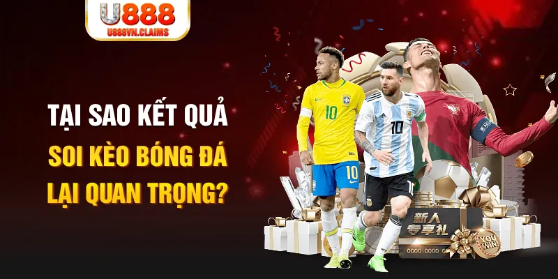 k8vina Tôm Cua Cá 2