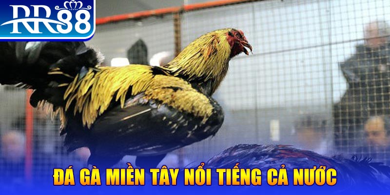 k8vina xổ số đại phát