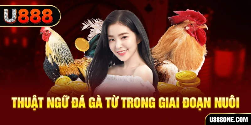 k8vina xổ số miền bắc 90 ngày