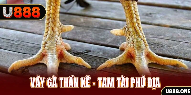 k8vina xổ số miền trung thứ hai hàng tuần