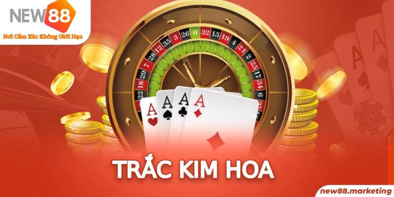 k8vina xổ số kiên giang