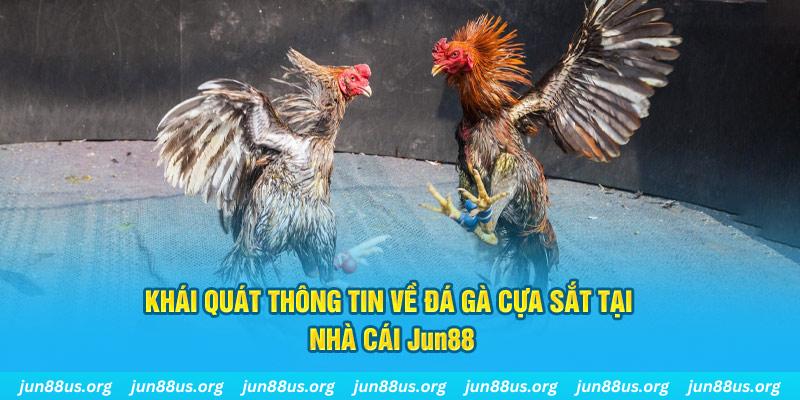 k8vina xổ số miền bắc thứ bảy hàng tuần