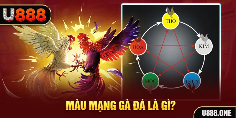 k8vina xổ số miền trung thứ tư hàng tuần