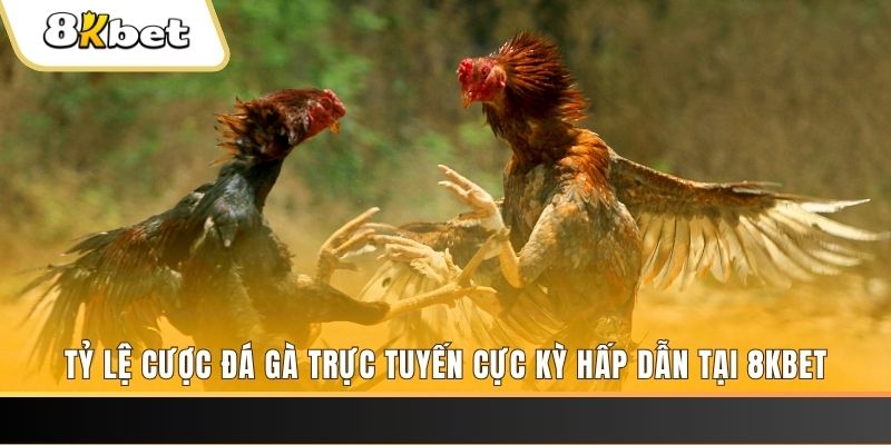 k8vina đăng nhập mậu binh online