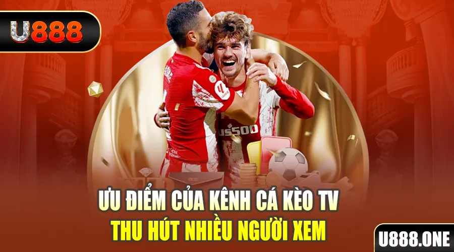 k8vina gà chọi cu cần