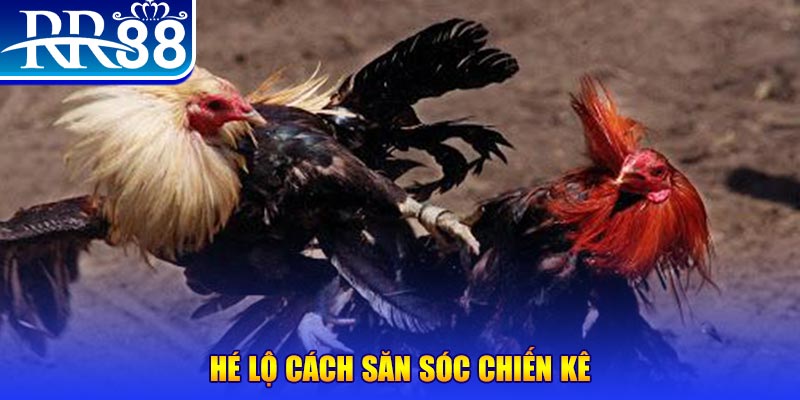 k8vina xổ số miền trung thứ tư
