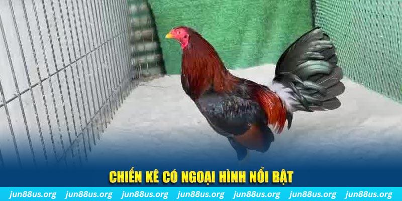k8vina game bắn cá