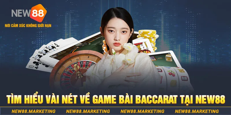 k8vina gà chọi c1 ô taxi