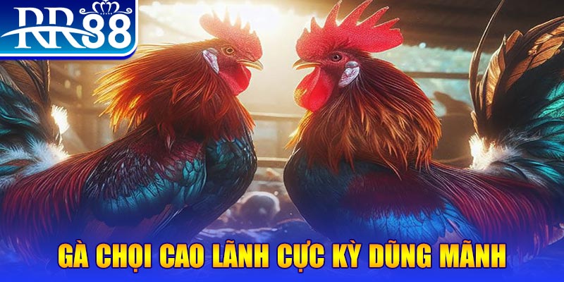 k8vina HB Điện Tử