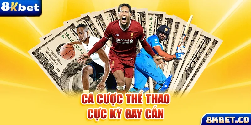 k8vina xem đá gà trực tiếp
